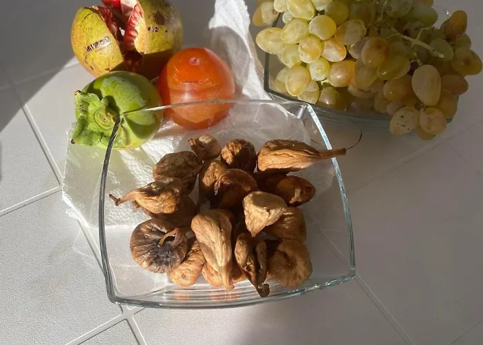 Ella * بيروفاتش